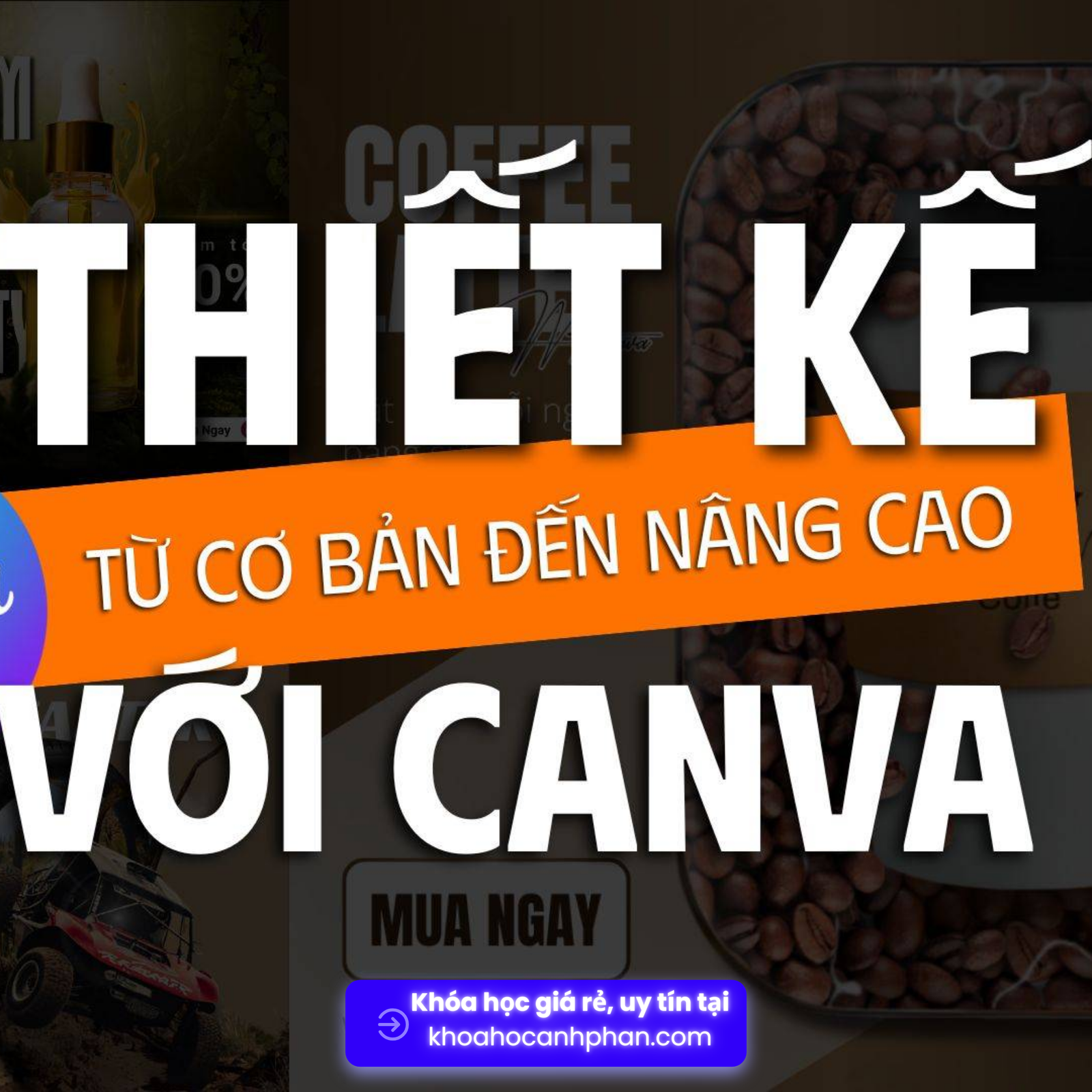 Canva cơ bản đến nâng cao - Mọt Canva Share Khóa Học Hướng Dẫn Canva Cơ Bản Đến Nâng Cao Cho Người Mới cùng Mọt Canva
